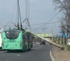 На Советском проспекте в Калининграде на троллейбус упал столб