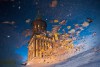 «Сны о лебедях и музей Канта»: «Яндекс» показал видеопутеводитель про необычный Калининград
