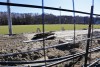 «Трава у базы»: в каком виде ждёт сборную Сербии тренировочное поле в Светлогорске
