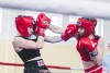 «Открытый ринг»: в областном турнире по кикбоксингу выступило 98 калининградцев