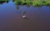 Калининградец снял с помощью дрона фильм про орланов-белохвостов