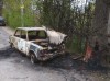 Под Калининградом автомобиль «Жигули» сгорел после столкновения с деревом