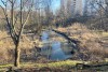 Прокуратура нашла бесхозный источник загрязнения Гагаринского ручья в Калининграде