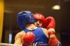 «К бою»: в Калининграде стартовал Кубок страны по тайскому боксу