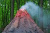«Козы, вулкан и камни»: в Светлогорском районе открыли Парк янтарного периода