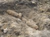 На месте строительства автосервиса в Малом Исаково найдены 6 авиабомб
