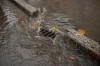 Власти Калининграда разрабатывают тариф на принятие дождевых вод для организаций