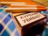 Полицейские изъяли в Калининградской области 3,5 млн пачек контрабандных сигарет и семь грузовиков