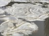 «Плавающие пятна»: Преголя в центре Калининграда покрылась необычным льдом