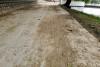 После дождя дорожки на Нижнем озере в Калининграде засыпало землёй