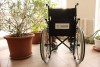 Калининградский зоопарк запустил бесплатный прокат инвалидных колясок