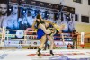 «Россияне, белорусы, иранец и литовец»: в Калининграде прошёл коммерческий турнир по кикбоксингу