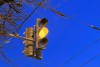 На 12 светофорах в Калининграде установят устройства для отслеживания отключений