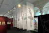 «Плисецкая, Цискаридзе и не только»: в Калининграде открылась выставка о балете