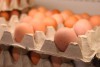 Калининградстат: За год куриные яйца в регионе подорожали почти на 75%