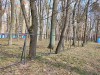 Алиханов поручил разобраться со строительным забором вокруг дубовой рощи на Карташева