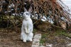 «Пушистый символ года»: как кролики форта «Дёнхофф» встречают зимние праздники