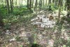 Пожилой мужчина больше 14 часов блуждал по лесу в Зеленоградском районе