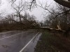 «Перекрытые трассы, упавшие деревья и блэкаут»: последствия урагана в Калининградской области