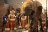 «Это я — Люба!»: в Музей Мирового океана привезли 42000-летнего мамонтёнка