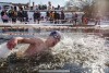 «Белые медведи»: в Калининграде провели чемпионат области по зимнему плаванию