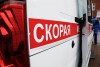 Прокуратура проводит проверку из-за нападения собаки на 11-летнюю девочку в Калининграде