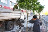 «Деревья вместо парковки»: в центре Калининграда посадили акации