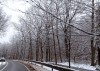В последние праздничные выходные в Калининградской области ожидается снег с дождём
