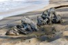 «Буны и намыв песка»: в Филинской бухте планируют укрепить берег и расширить пляж