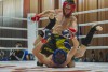 «От 14 и старше»: кубок по смешанному единоборству в Калининграде собрал более 70 спортсменов