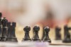 «Умная десятка»: в Калининграде завершился чемпионат страны по шахматам
