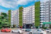 «Зелёные башни»: панельки на Московском проспекте в Калининграде планируют украсить диким виноградом