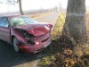 В Калининградской области водитель «Форда» врезалась в придорожное дерево: пострадал годовалый ребёнок