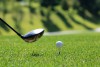 Власти меняют назначение 188 га земли под Светлогорском для строительства гольф-клуба