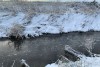 «Балтптицепром» оштрафовали за загрязнение реки под Калининградом