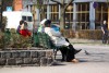 Калининград вошёл в десятку самых желанных городов для жизни на пенсии