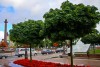 В Калининграде хотят изменить нормы минимального озеленения участков под застройку