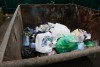 В Калининградской области запустят горячую линию по вывозу мусора в новогодние праздники