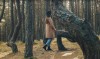 «Прощай, танцующий лес»: калининградский эколог раскритиковала новый промо-ролик о регионе