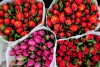 К 8 Марта эксперты ожидают повышение цен на цветы в России до 40%