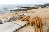 «Ждём песок»: на пляже в Светлогорске закончили забивать лиственничные буны