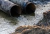 Росприроднадзор: В реку Тростянку в Зеленоградске сбрасывают загрязнённые стоки
