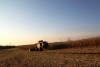 Прокуратура оштрафовала «Балтптицепром» за слив куриного помёта на земли сельхозназначения