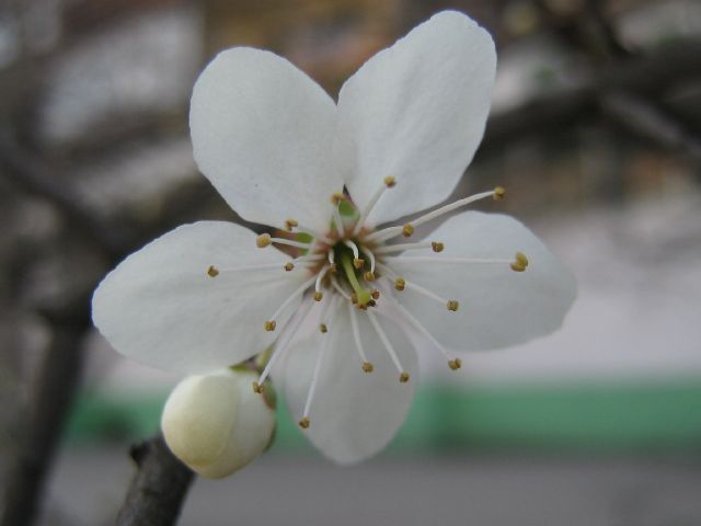 природа_2