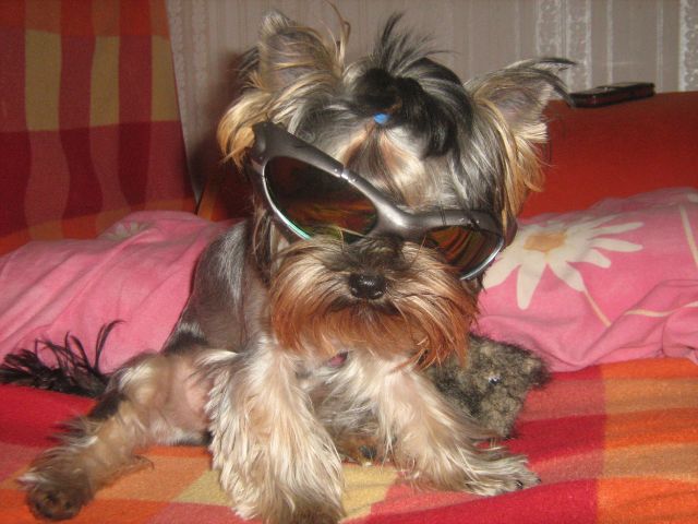 Кэри