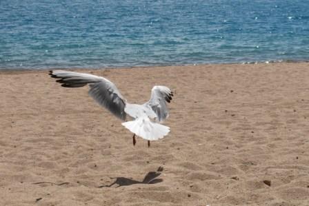 Issyk-Kul