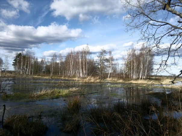 Разлив речки в поселке Большаково, весной 2015 гола.