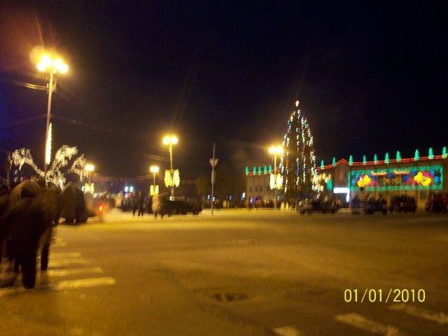 ГУСЕВ_1