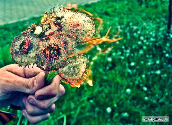 фото_3