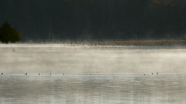 Озеро Виштынец. Утренний туман